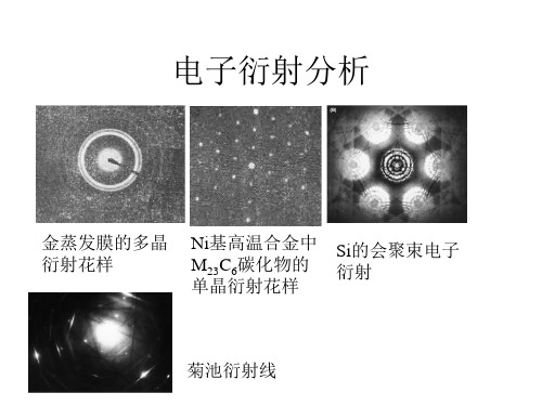 电子显微分析2-TEM