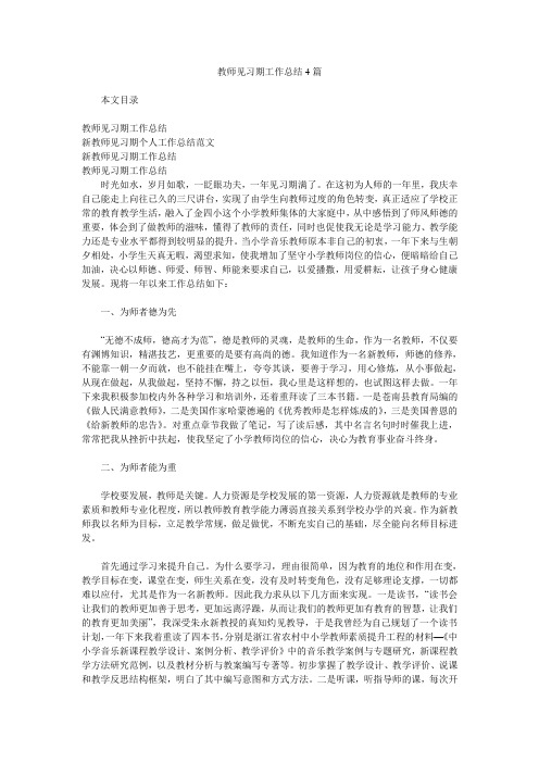 教师见习期工作汇报4篇