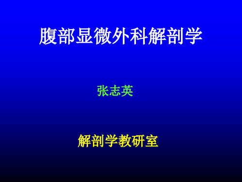 腹部皮、肌皮瓣瓣