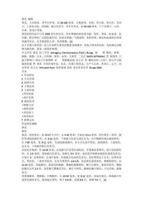 中药黄芪