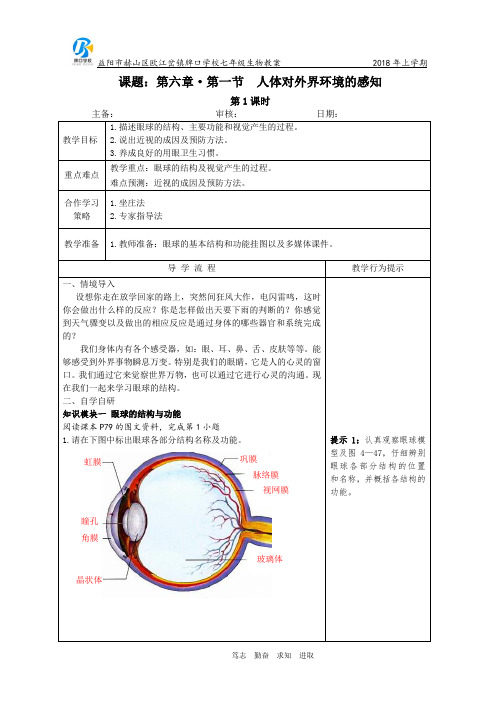 七年级下册生物教案-第四单元第六章第一节第一课时《人体对外界环境的感知》人教版