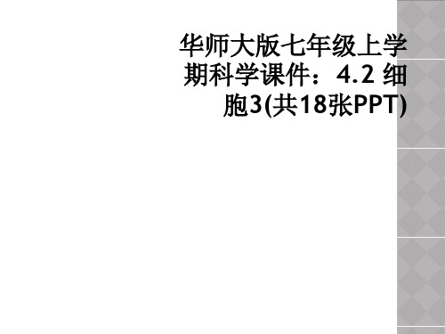 华师大版七年级上学期科学课件：4.2 细胞3