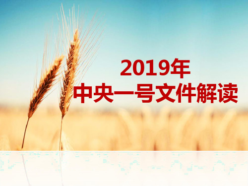 (完整版)2019年中央一号文件解读