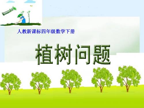 植树问题(三课)