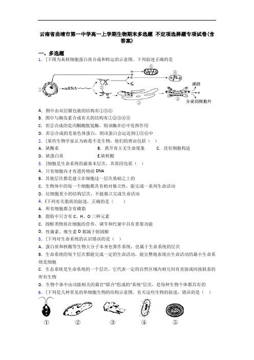 云南省曲靖市第一中学高一上学期生物期末多选题 不定项选择题专项试卷(含答案)