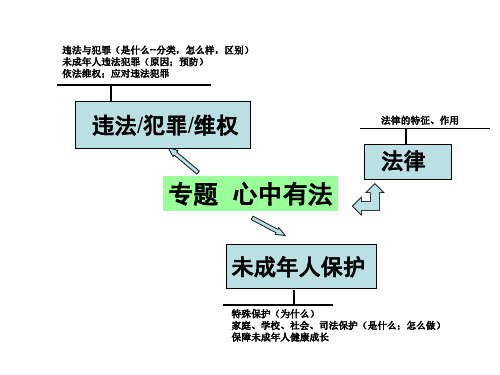 中考政治复习 专题三   心中有法