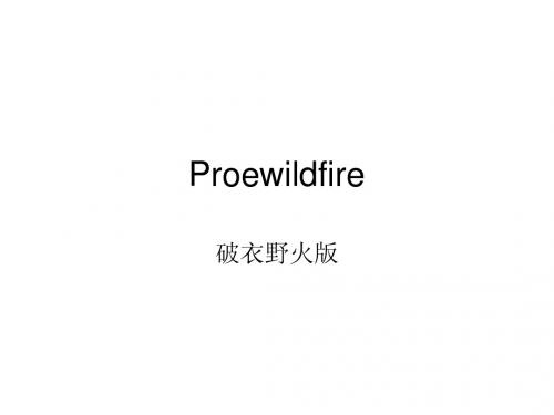 ProE-优化