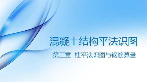 《混凝土结构平法识图》课件 第三章 柱平法识图与钢筋算量