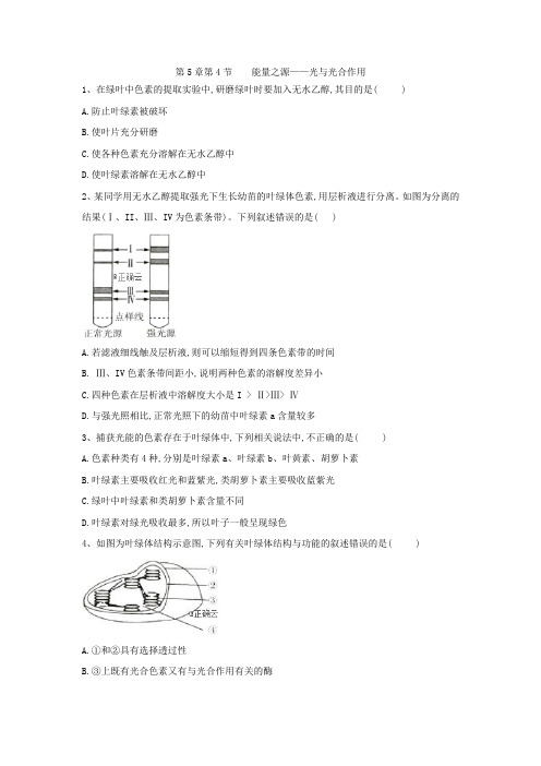 2019-2020学年高中生物人教版必修一课时练:第5章 第4节 能量之源——光与光合作用 Word版含答案