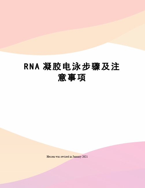 RNA凝胶电泳步骤及注意事项