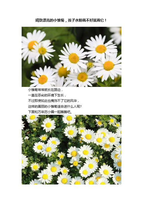 精致漂亮的小雏菊，孩子水粉画不好就画它！