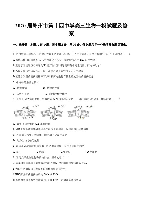 2020届郑州市第十四中学高三生物一模试题及答案