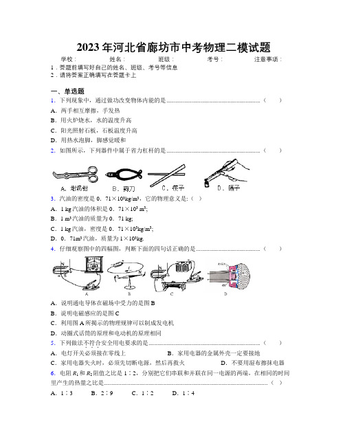 2023年河北省廊坊市中考物理二模试题附解析