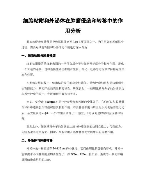 细胞粘附和外泌体在肿瘤侵袭和转移中的作用分析