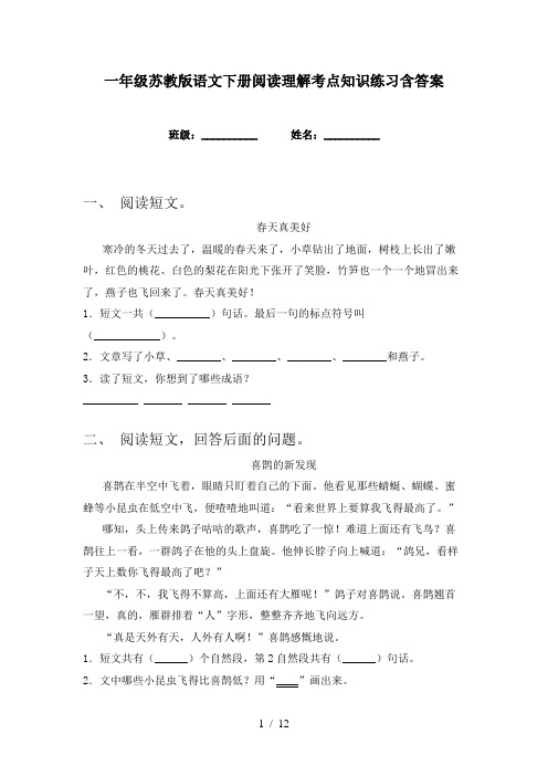 一年级苏教版语文下册阅读理解考点知识练习含答案