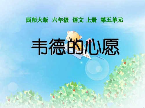 《韦德的心愿》PPT  图文