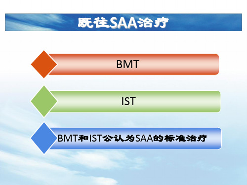 SAA治疗 PPT课件