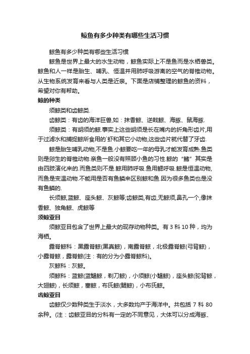 鲸鱼有多少种类有哪些生活习惯