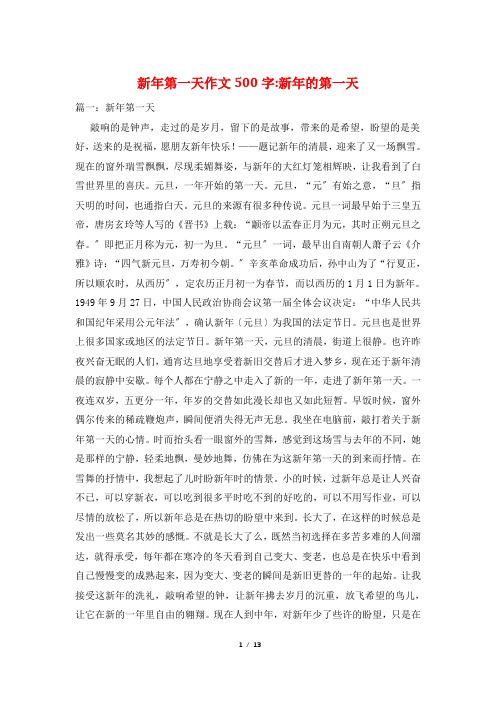 新年第一天作文500字-新年的第一天