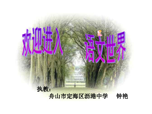 《我的第一本书》课件(2019年8月整理)