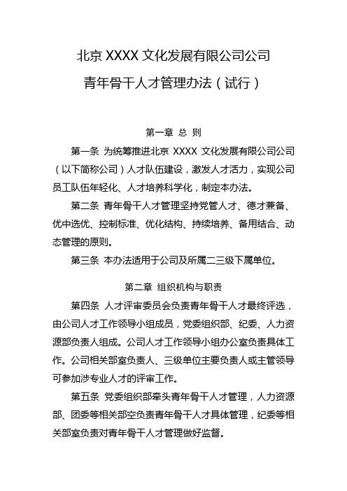 公司青年骨干人才管理办法