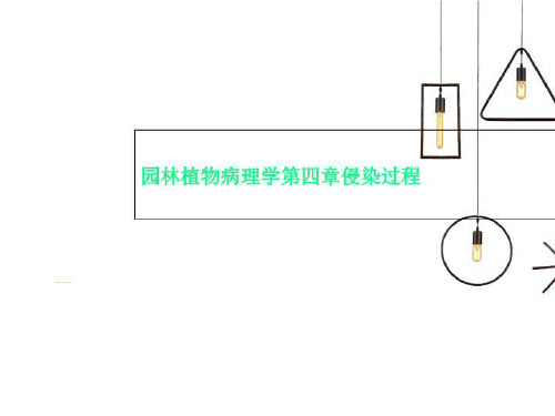 园林植物病理学第四章侵染过程