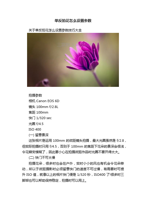 单反拍花怎么设置参数