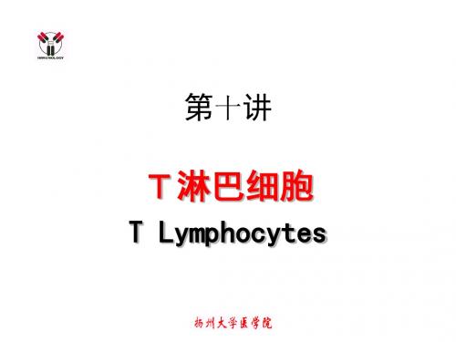 医学免疫学-10[Tlymphocyte]