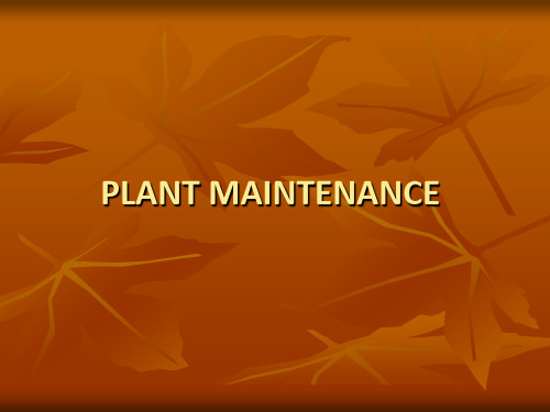 PLANT MAINTENANCE