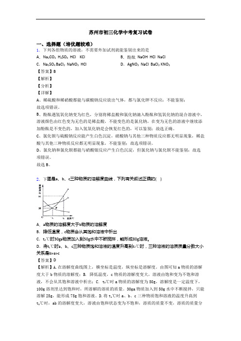 苏州市初三化学中考复习试卷