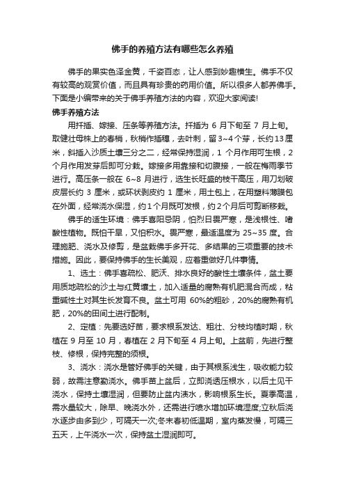 佛手的养殖方法有哪些怎么养殖