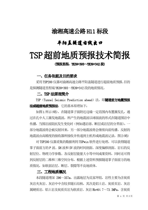 TSP超前地质预报技术简报