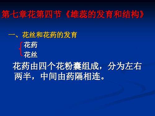 第七章花第四节《雄蕊的发育和结构》