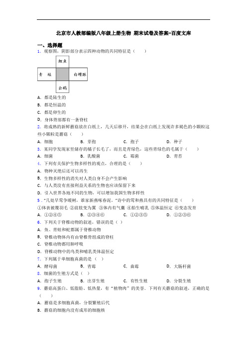 北京市人教部编版八年级上册生物 期末试卷及答案-百度文库