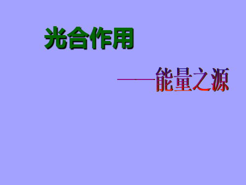 人教版高一生物必修1课件：5.4.2光合作用的发现及过程 ppt课件