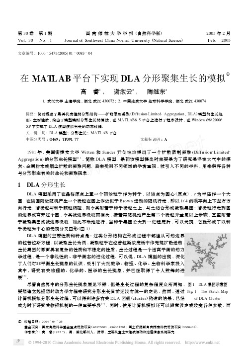 在MATLAB平台下实现DLA分形聚集生长的模拟