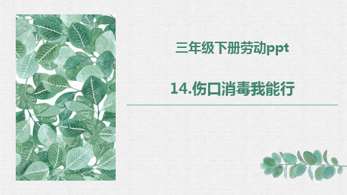 14.伤口消毒我能行(课件)---人民版五年级劳动下册(2024)