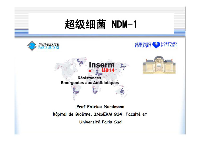 超级细菌_ndm-1[1]