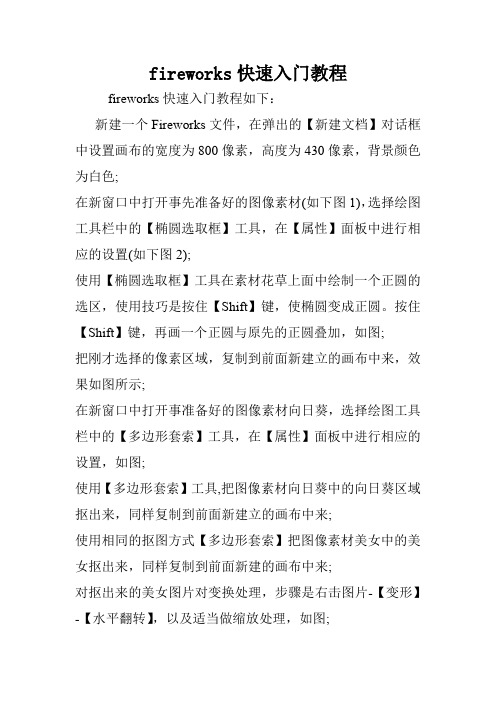 fireworks快速入门教程.doc