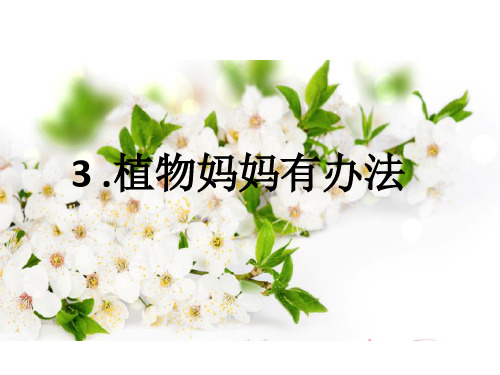 人教部编版语文《植物妈妈有办法》PPT精美课件1