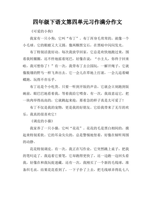 四年级下语文第四单元习作满分作文