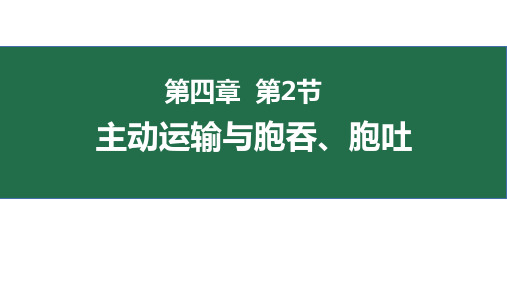 4.2主动运输与胞吞、胞吐(课件)—高一上学期生物人教版必修1