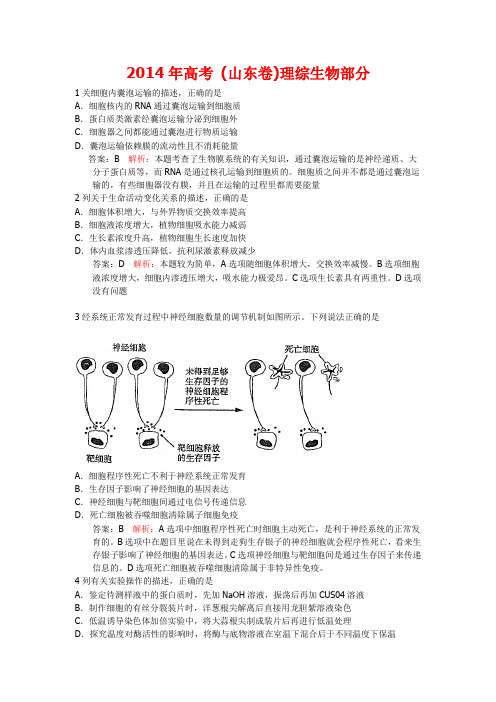 2014年高考(山东卷)理综生物部分