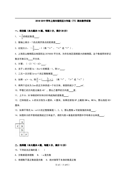 上海市普陀区2018-2019学年六年级下学期期末考试数学试题 (2).pdf