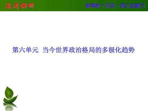 2016届高三历史高考调研一轮复习课件：第6单元 当今世界政治格局的多极化趋势 第13讲