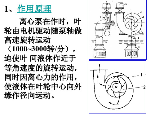 离心泵的安装