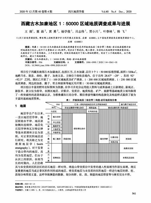 西藏古木加康地区1∶50000区域地质调查成果与进展