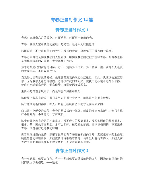 青春正当时作文14篇