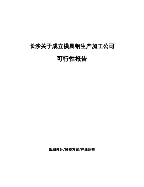 长沙关于成立模具钢生产加工公司可行性报告