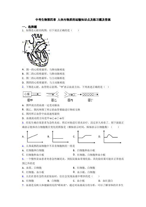 中考生物第四章 人体内物质的运输知识点及练习题及答案